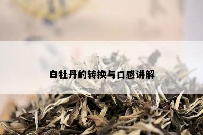 白牡丹的转换与口感讲解