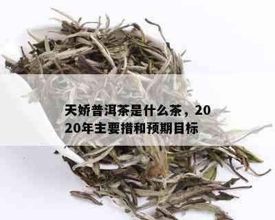 天娇普洱茶是什么茶，2020年主要措和预期目标