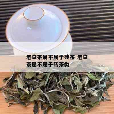 老白茶属不属于砖茶-老白茶属不属于砖茶类