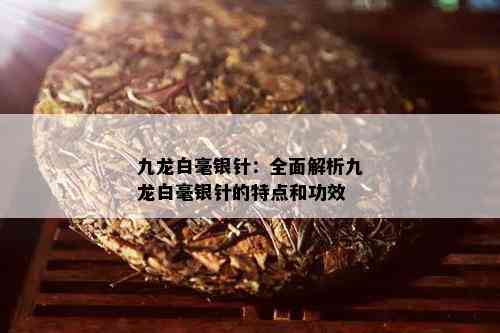 九龙白毫银针：全面解析九龙白毫银针的特点和功效