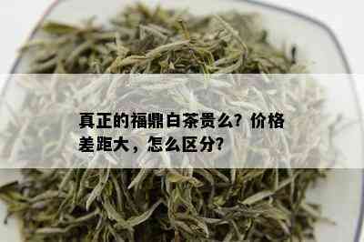 真正的福鼎白茶贵么？价格差距大，怎么区分？