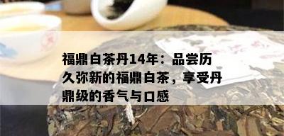 福鼎白茶丹14年：品尝历久弥新的福鼎白茶，享受丹鼎级的香气与口感