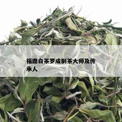 福鼎白茶罗成制茶大师及传承人