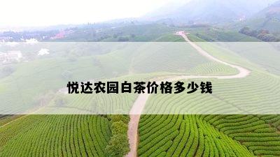 悦达农园白茶价格多少钱