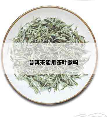 普洱茶能用茶叶煮吗