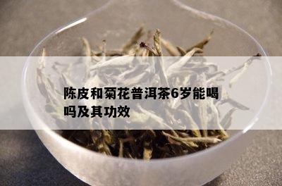 陈皮和菊花普洱茶6岁能喝吗及其功效