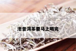 泡普洱茶要马上喝完