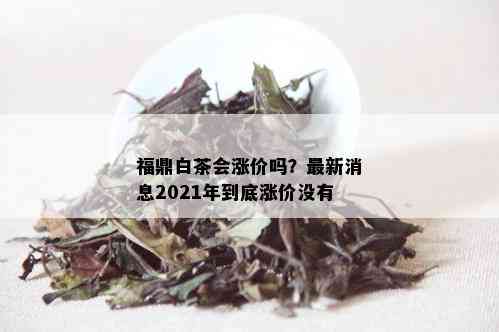 福鼎白茶会涨价吗？最新消息2021年到底涨价没有