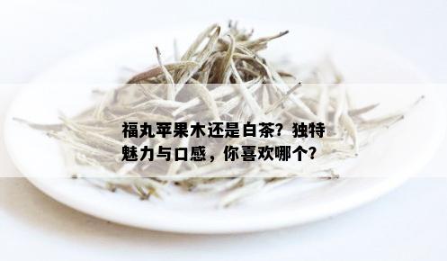 福丸苹果木还是白茶？独特魅力与口感，你喜欢哪个？