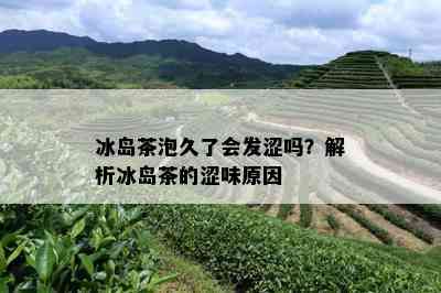 冰岛茶泡久了会发涩吗？解析冰岛茶的涩味原因