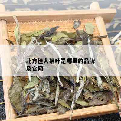 北方佳人茶叶是哪里的品牌及官网