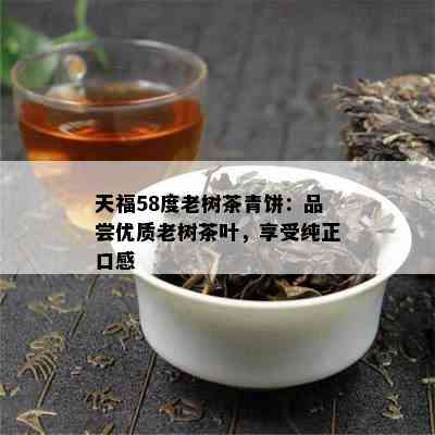 天福58度老树茶青饼：品尝优质老树茶叶，享受纯正口感