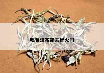 喝普洱茶能去胃火吗