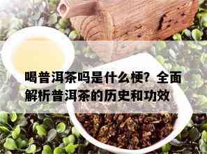 喝普洱茶吗是什么梗？全面解析普洱茶的历史和功效