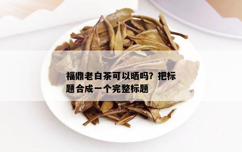 福鼎老白茶可以晒吗？把标题合成一个完整标题