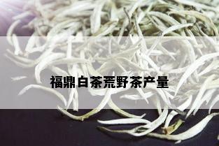 福鼎白茶荒野茶产量