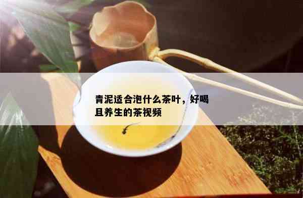 青泥适合泡什么茶叶，好喝且养生的茶视频