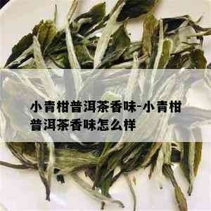 小青柑普洱茶香味-小青柑普洱茶香味怎么样