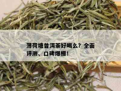 薄荷塘普洱茶好喝么？全面评测、口碑爆棚！