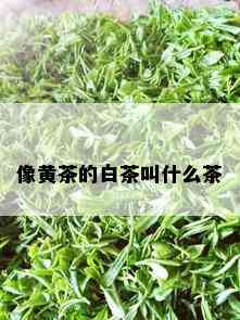 像黄茶的白茶叫什么茶