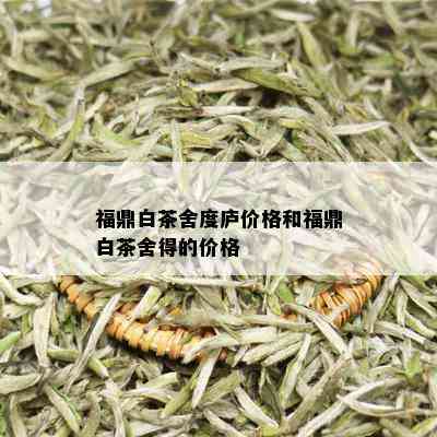 福鼎白茶舍度庐价格和福鼎白茶舍得的价格