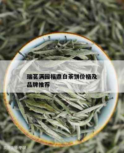 瑞茗满园福鼎白茶饼价格及品牌推荐