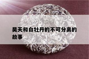 昊天和白牡丹的不可分离的故事