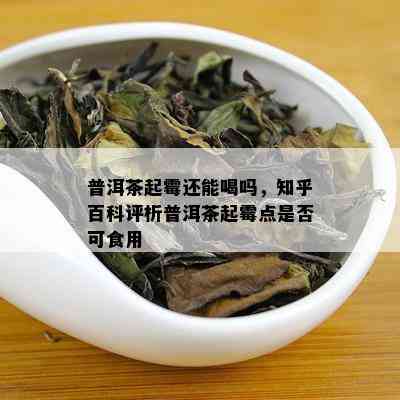 普洱茶起霉还能喝吗，知乎百科评析普洱茶起霉点是否可食用