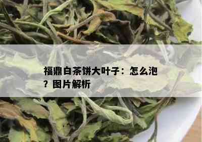 福鼎白茶饼大叶子：怎么泡？图片解析