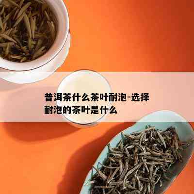 普洱茶什么茶叶耐泡-选择耐泡的茶叶是什么