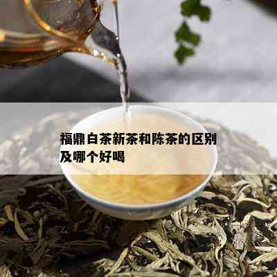 福鼎白茶新茶和陈茶的区别及哪个好喝