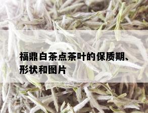 福鼎白茶点茶叶的保质期、形状和图片