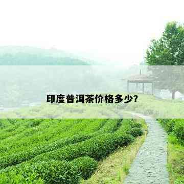 印度普洱茶价格多少？