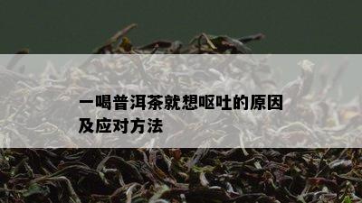 一喝普洱茶就想呕吐的原因及应对方法