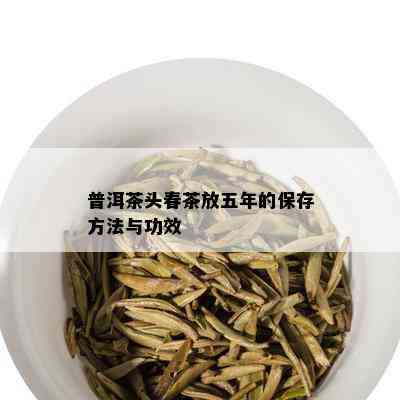 普洱茶头春茶放五年的保存方法与功效