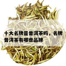 十大名牌是普洱茶吗，名牌普洱茶有哪些品牌