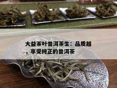 大益茶叶普洱茶生：品质越，享受纯正的普洱茶