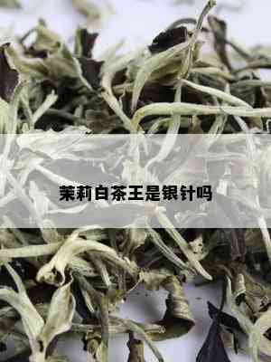 茉莉白茶王是银针吗