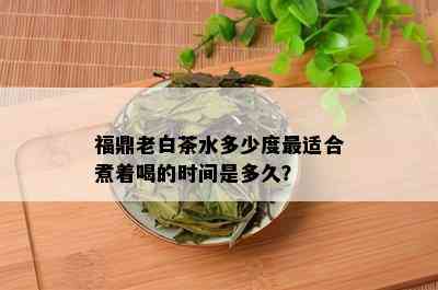 福鼎老白茶水多少度最适合煮着喝的时间是多久？