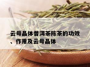 云母晶体普洱茶陈茶的功效、作用及云母晶体