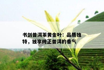 书剑普洱茶黄金叶：品质独特，独享纯正普洱的香气