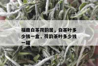 福鼎白茶荷韵居，白茶叶多少钱一盒，荷韵茶叶多少钱一罐