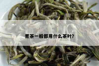 煮茶一般都用什么茶叶？