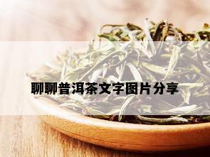 聊聊普洱茶文字图片分享