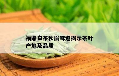 福鼎白茶秋眉味道揭示茶叶产地及品质