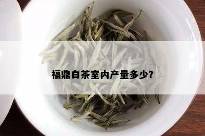 福鼎白茶室内产量多少？