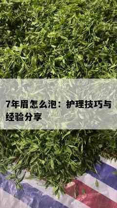 7年眉怎么泡：护理技巧与经验分享