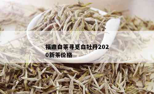 福鼎白茶寻觅白牡丹2020新茶价格