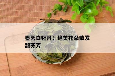 墨茗白牡丹：绝美花朵散发馥芬芳