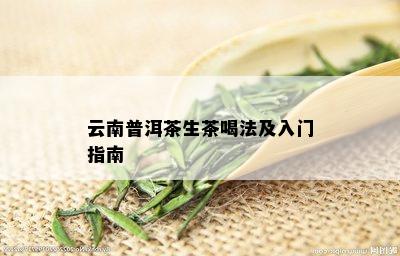 云南普洱茶生茶喝法及入门指南